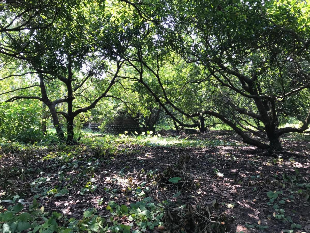Zohra Baugh, A Green & Organic Farmhouse Stay With All Amenities Dahanu Exterior foto