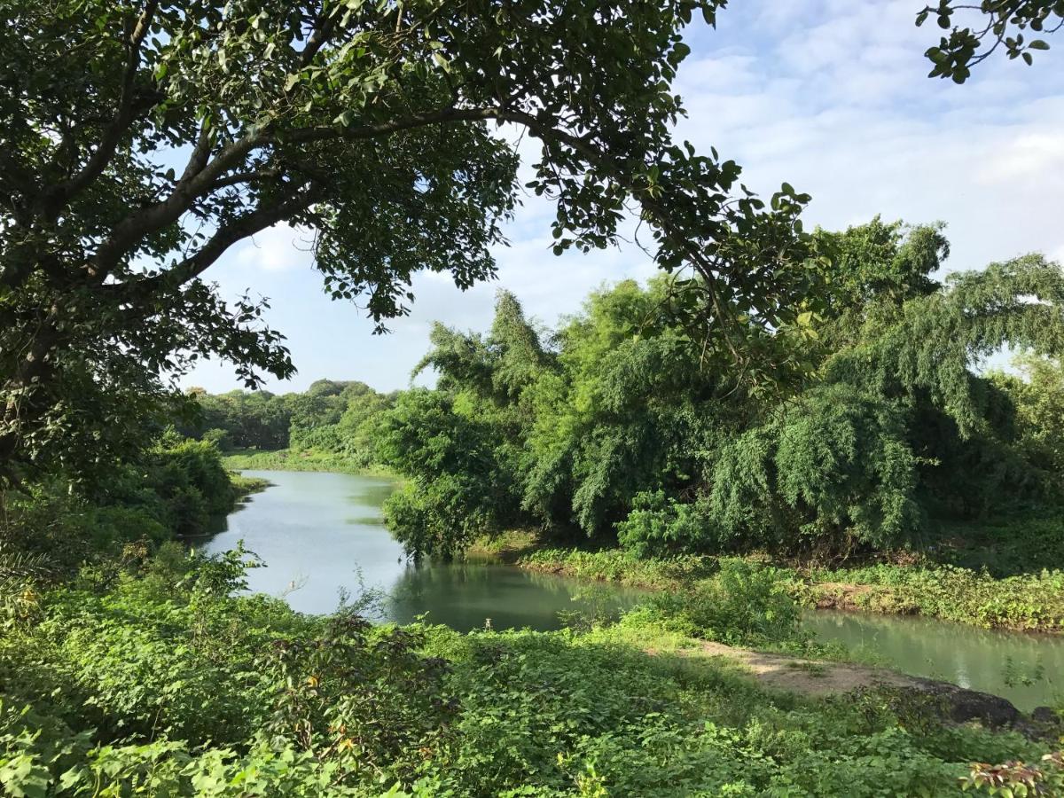Zohra Baugh, A Green & Organic Farmhouse Stay With All Amenities Dahanu Exterior foto